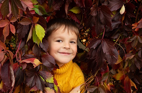 Photo of a cheeky looking child in a woollen sweater peaking through a hedge of autumn coloured leaves