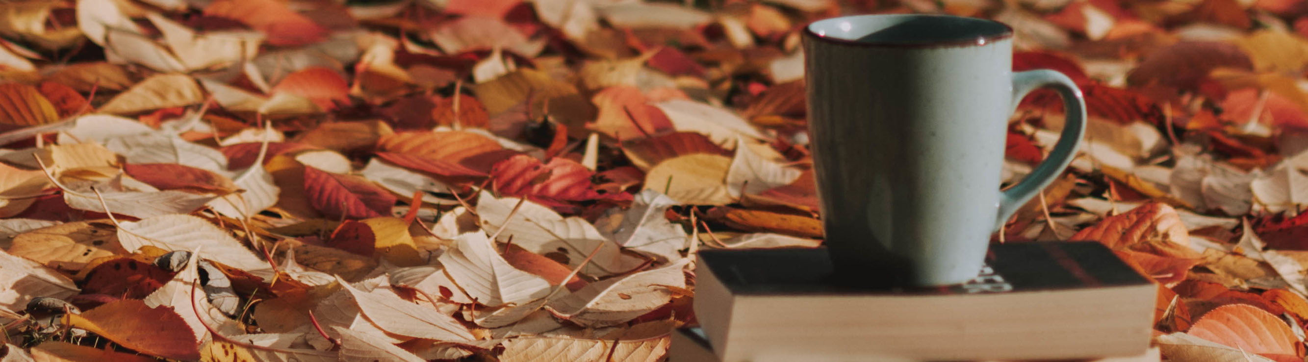 a cup on books amongst autumn leaves