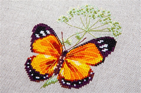 Cross stitch of butterfly