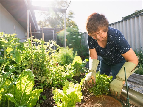 lady in the garden