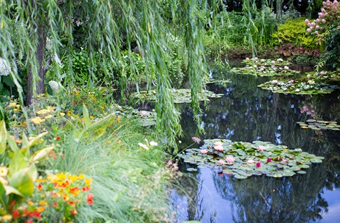 picture of a pond