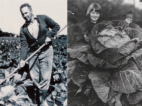 black and white old photo of man with hoe and big cabbage