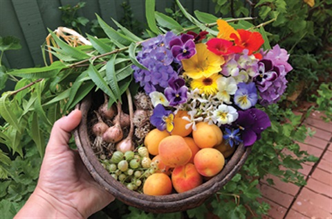 Hand holding bowl of fresh produce, flower and herbs