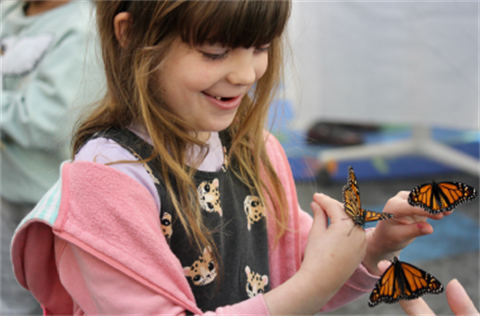 Child with butterflies on her hands