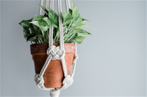 Macrame pot plant