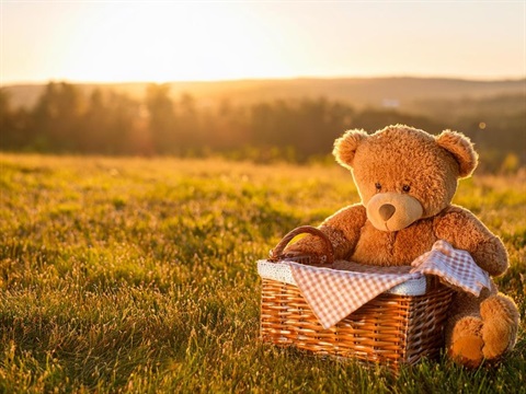 teddy bear and picnic basket