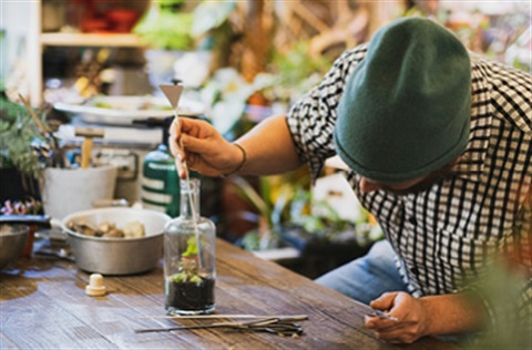 man creating a terrarium