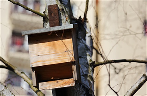 A wooden handmade nesting box